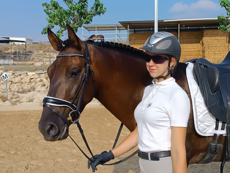 Aranjuez — PRE horse