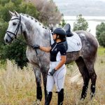 Darwin — PRE horse (photo 2)